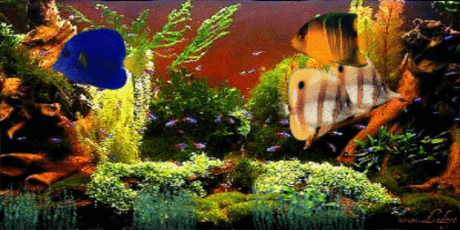 к чему снятся аквариумные рыбки