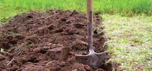 сонник копать землю лопатой