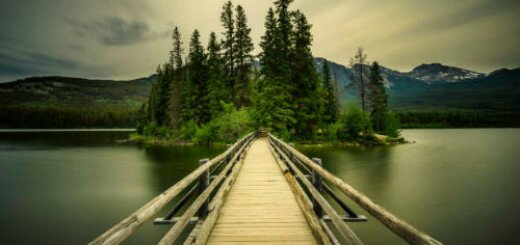 деревянный мост во сне