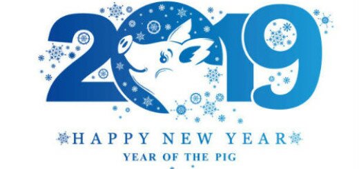 2019 год желтой земляной свиньи